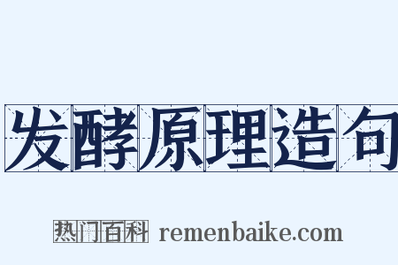 发酵原理造句是什么意思的图片